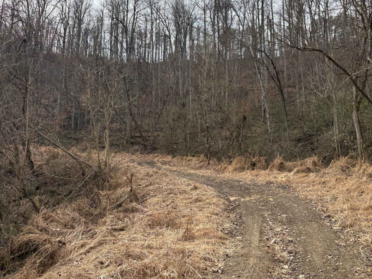 Trail 4 photo 2