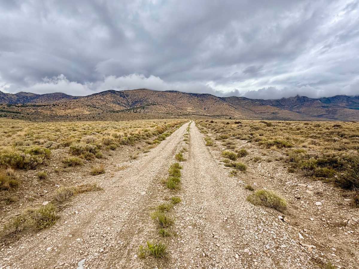 Lone Pine Ranch photo 4