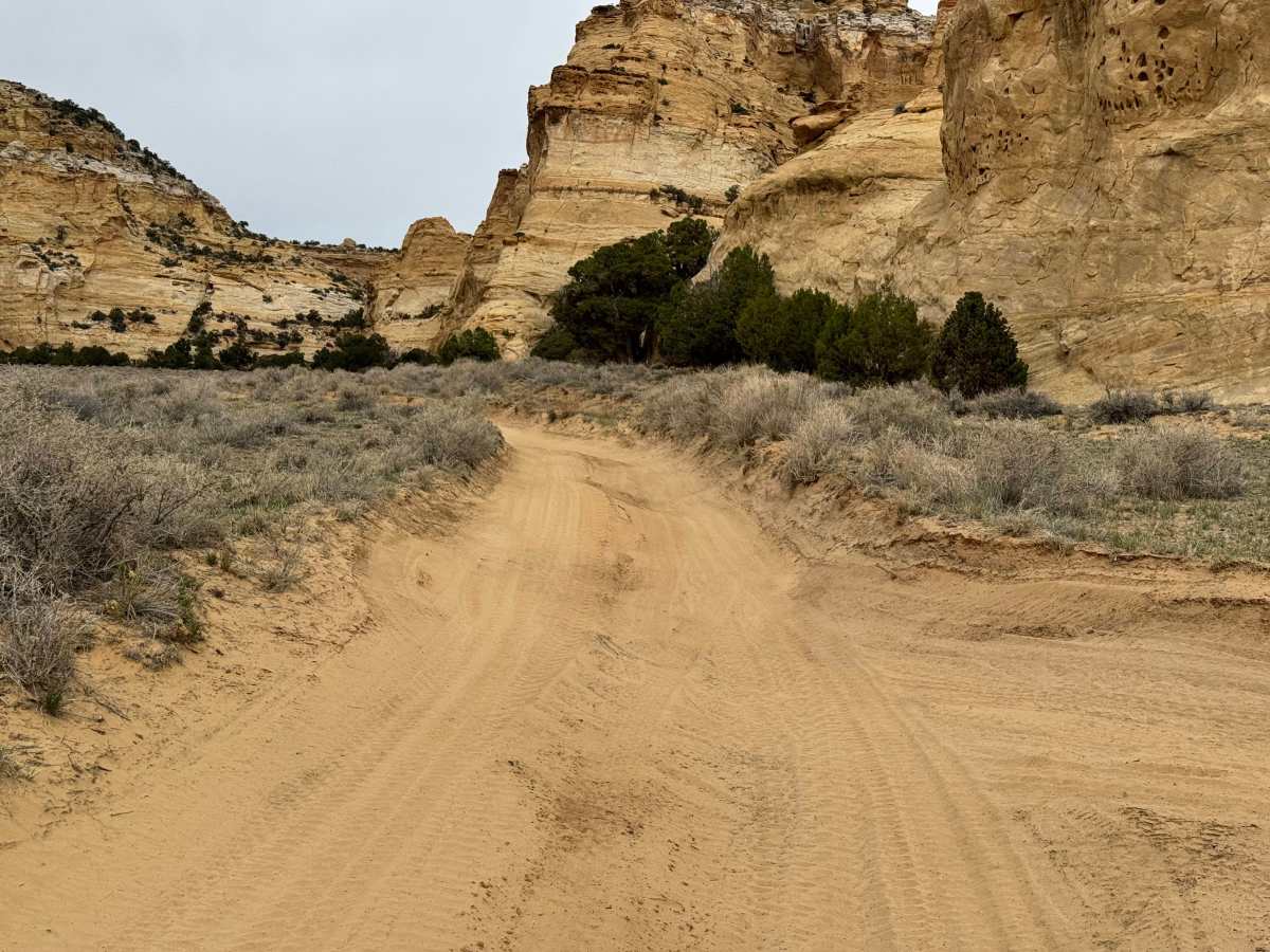 Lone Warrior photo 4