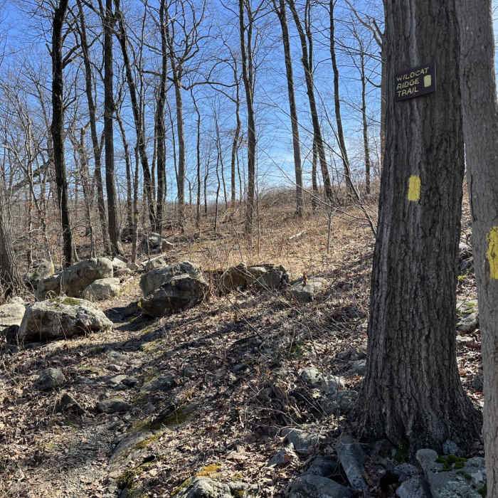 Near Beach Glen Loop via Wildcat Ridge Near Beach Glen Loop via Wildcat Ridge