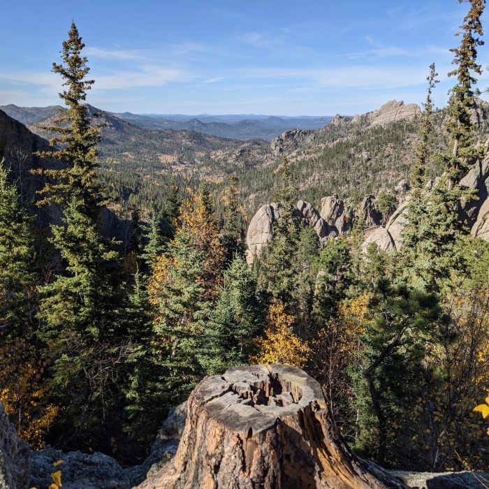 Near Sunday Gulch Trail