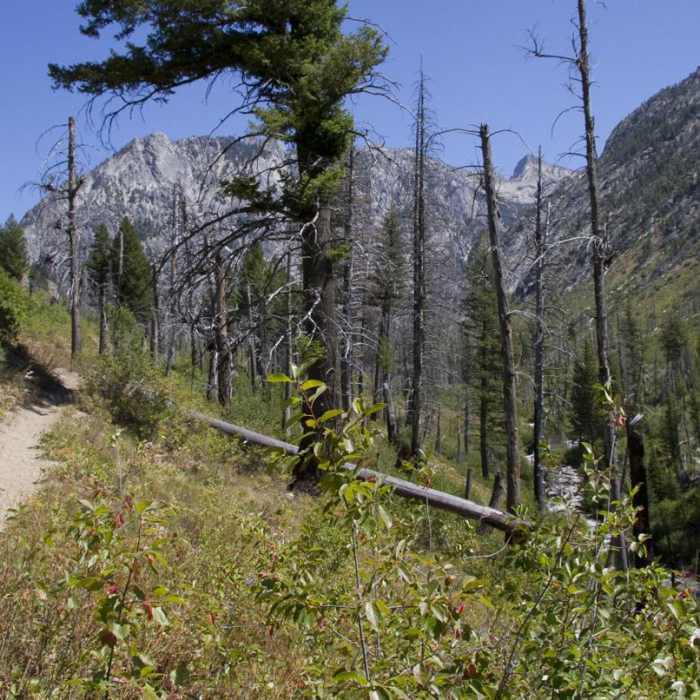 Near Baron Falls + Baron Lakes