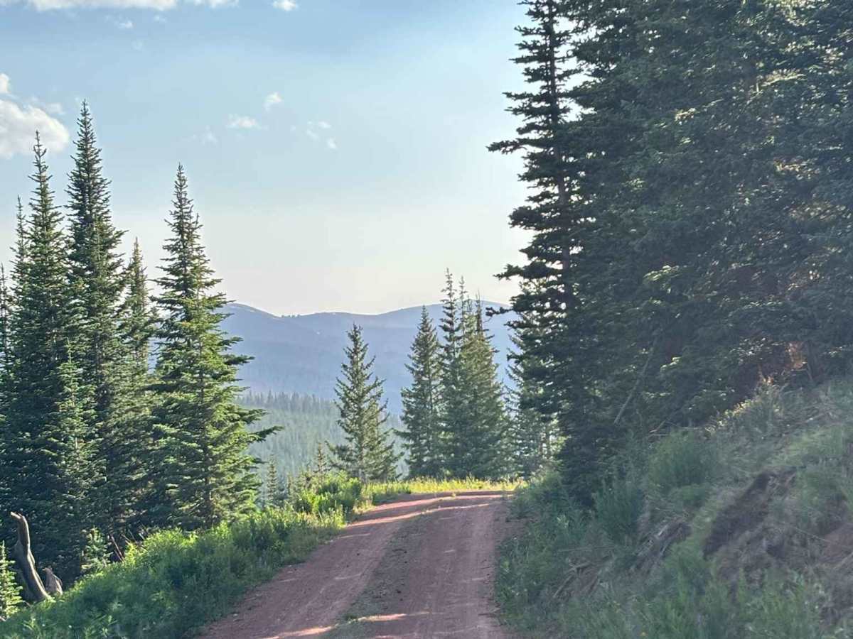 Hat Creek Road photo 6