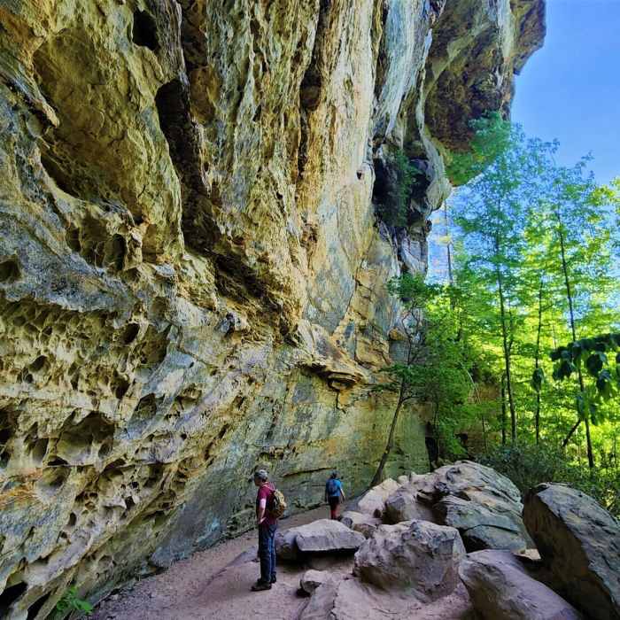 View from the trail Near Hood Branch Loop