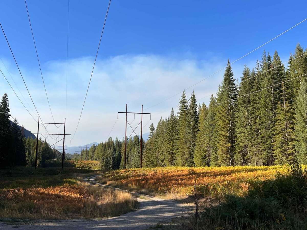 Stevens Creek Road photo 4