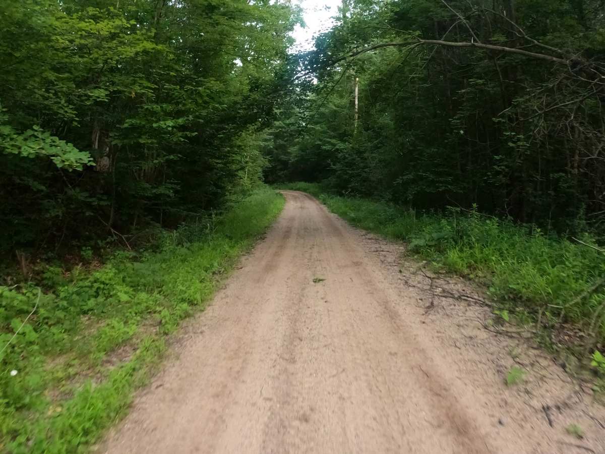 East Evart  photo 2