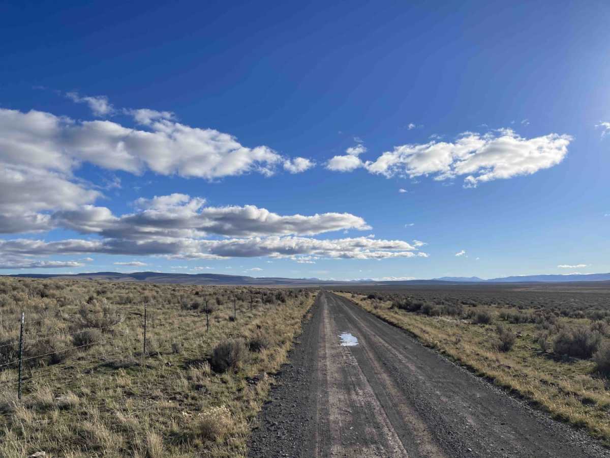 Stockmans Driveway photo 5