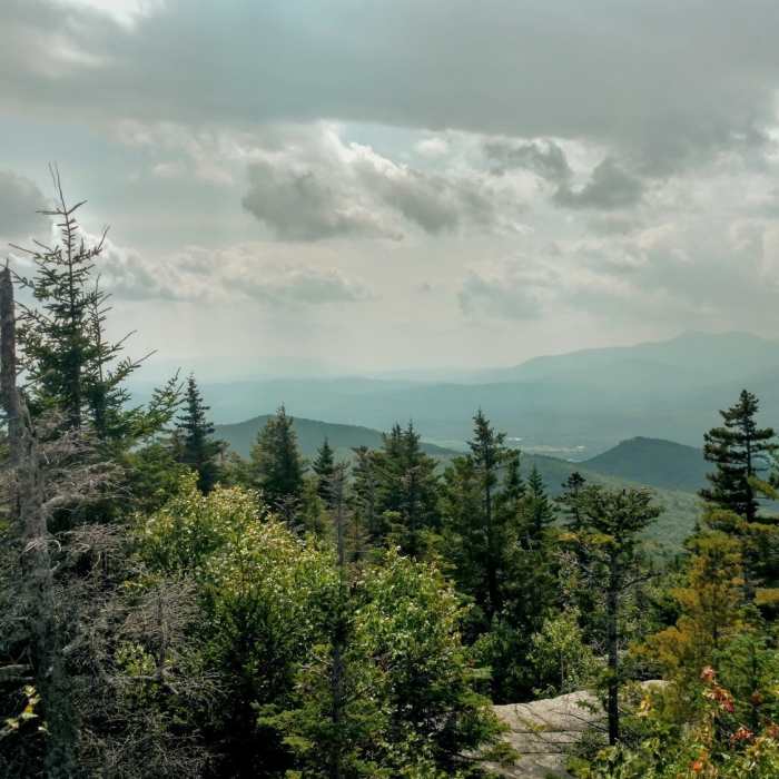 Near Black Cap Trail