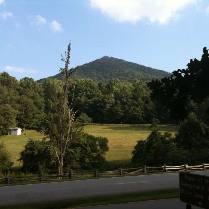 Near Harkening Hill Trail