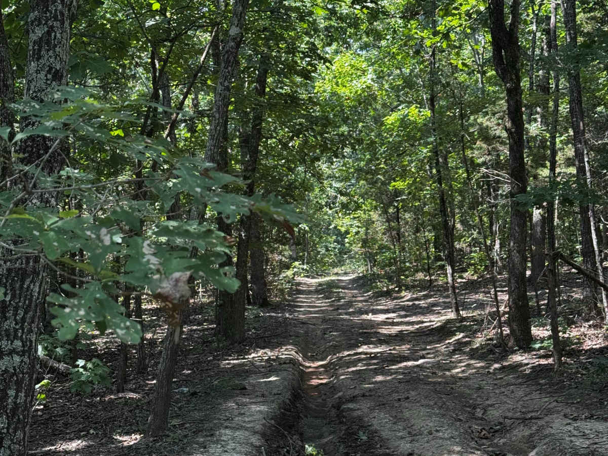 Heinke Hills  photo 5