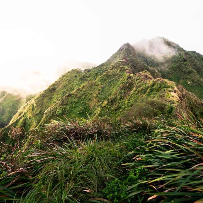 Near Kuliouou West Loop Near Kuliouou West Loop
