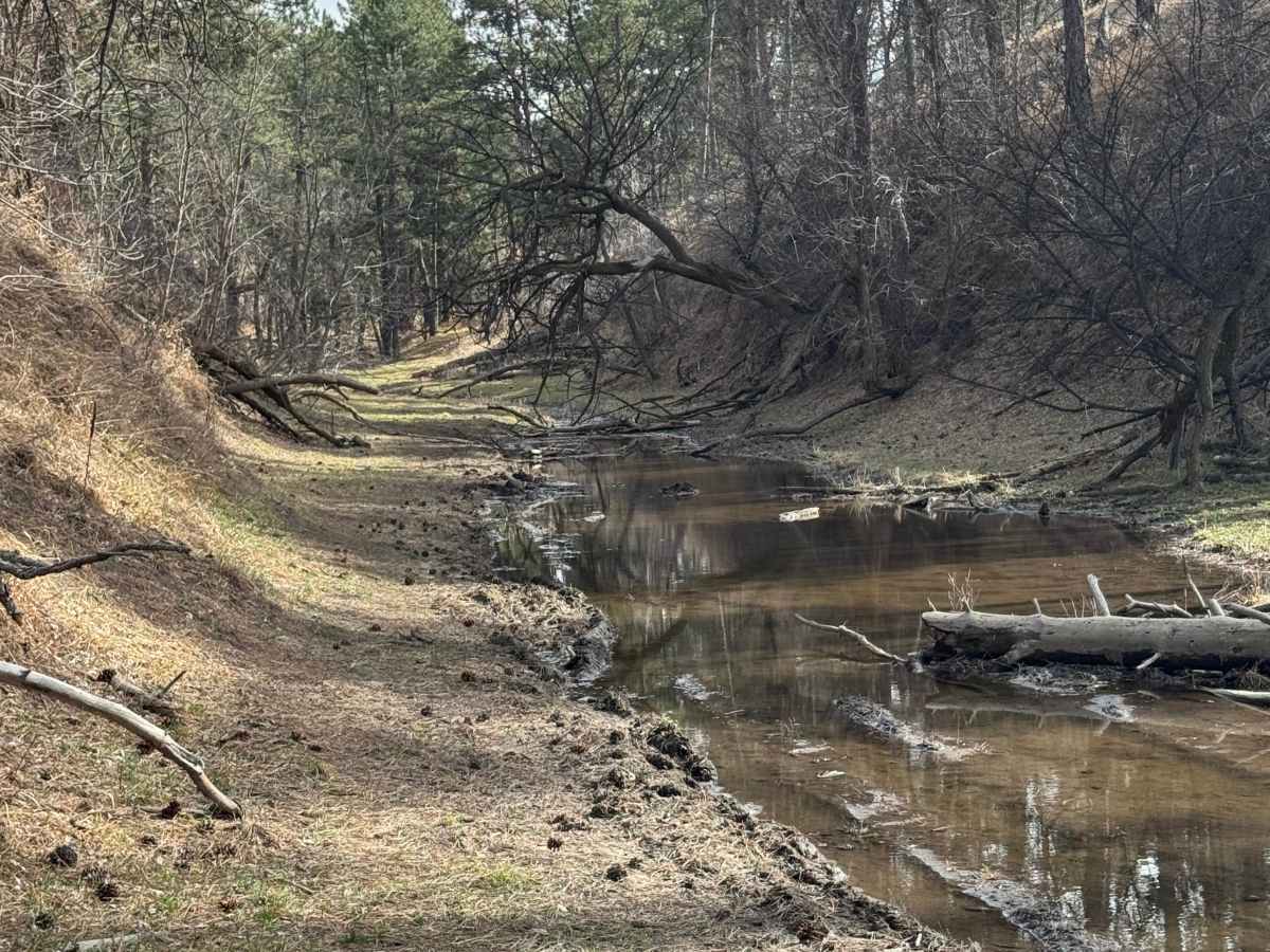 Strong Canyon Run  trail photo