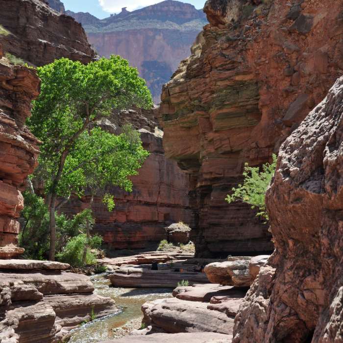 Near Deer Creek Trail