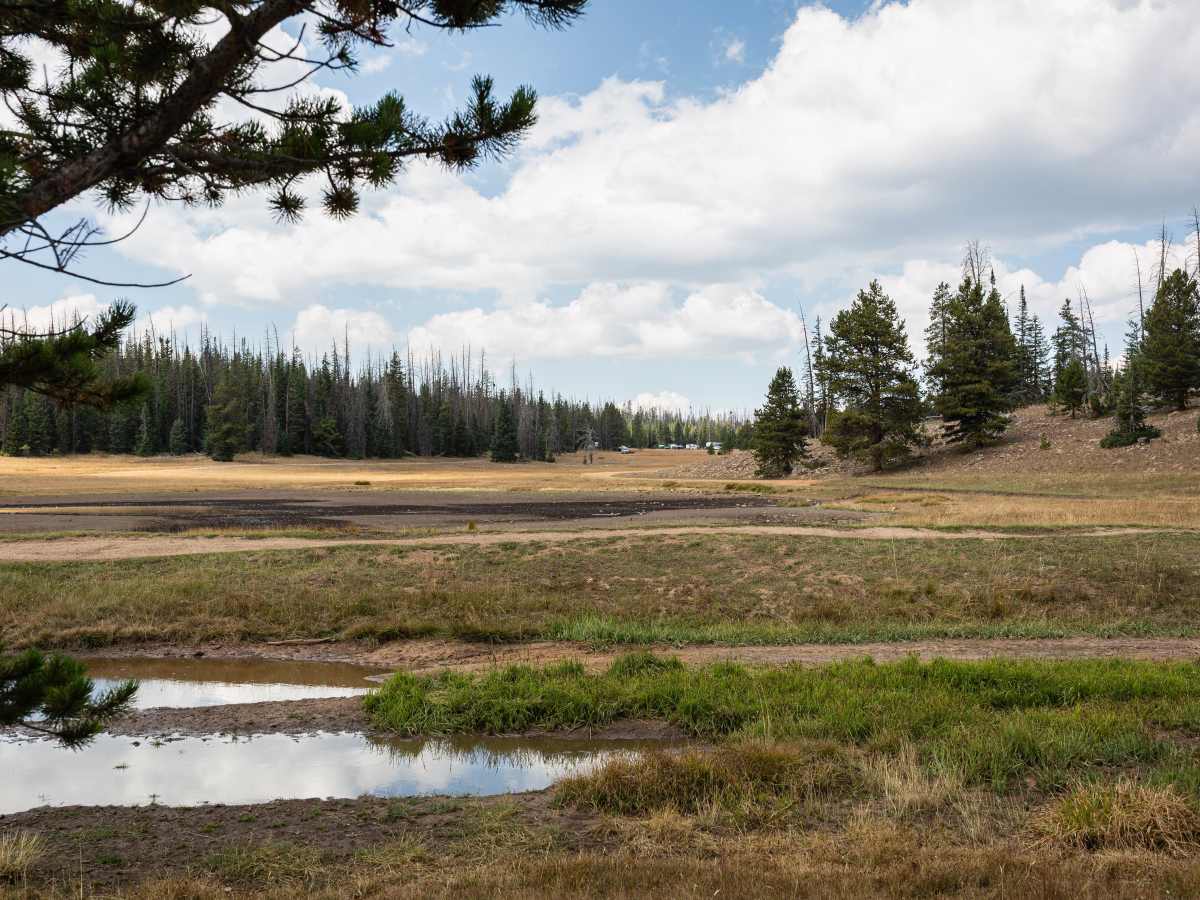 Left Fork Rhodes Canyon - FS 70151 photo 6