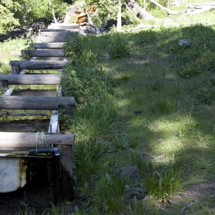Near Driveway Gulch Hike