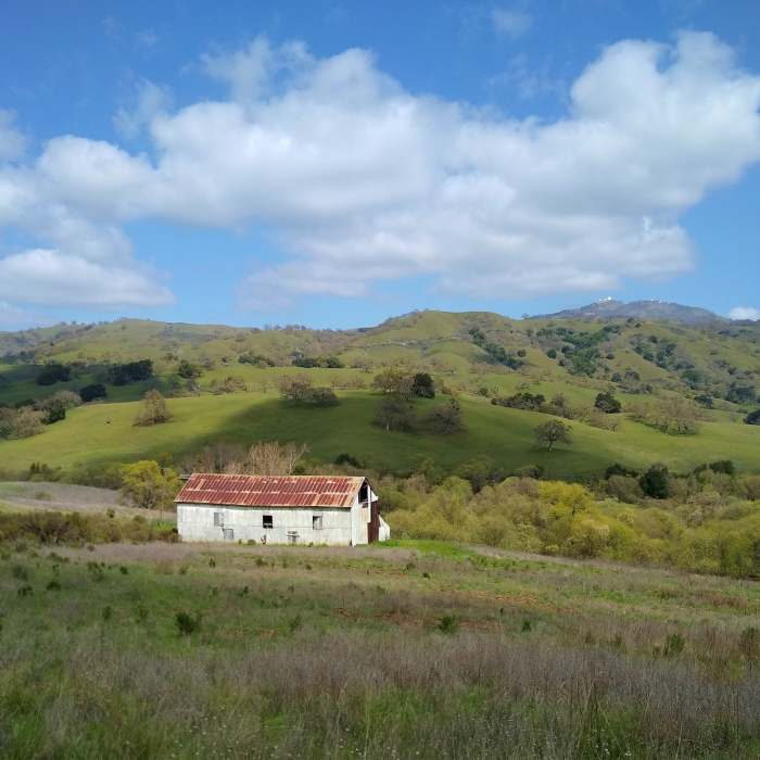 Snell Barn in the Diablo Range hills of Joseph D. Grant County Park. Mt. Hamilton, 4,265 ft., is in the distance toward the right. Lick Observatory can be seen at the top of Mt. Hamilton. Near Snell Trail