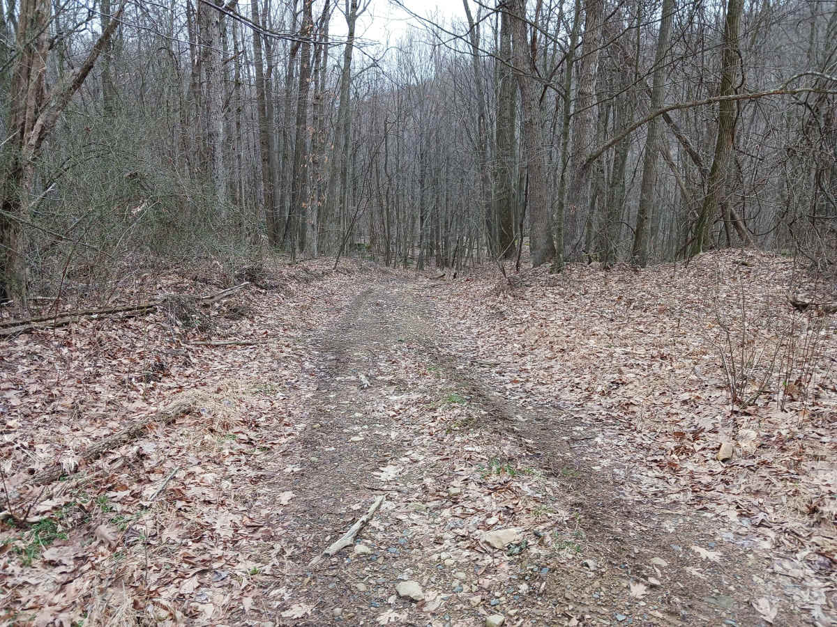 OHV 50 - Rock Run Recreation Area photo 4