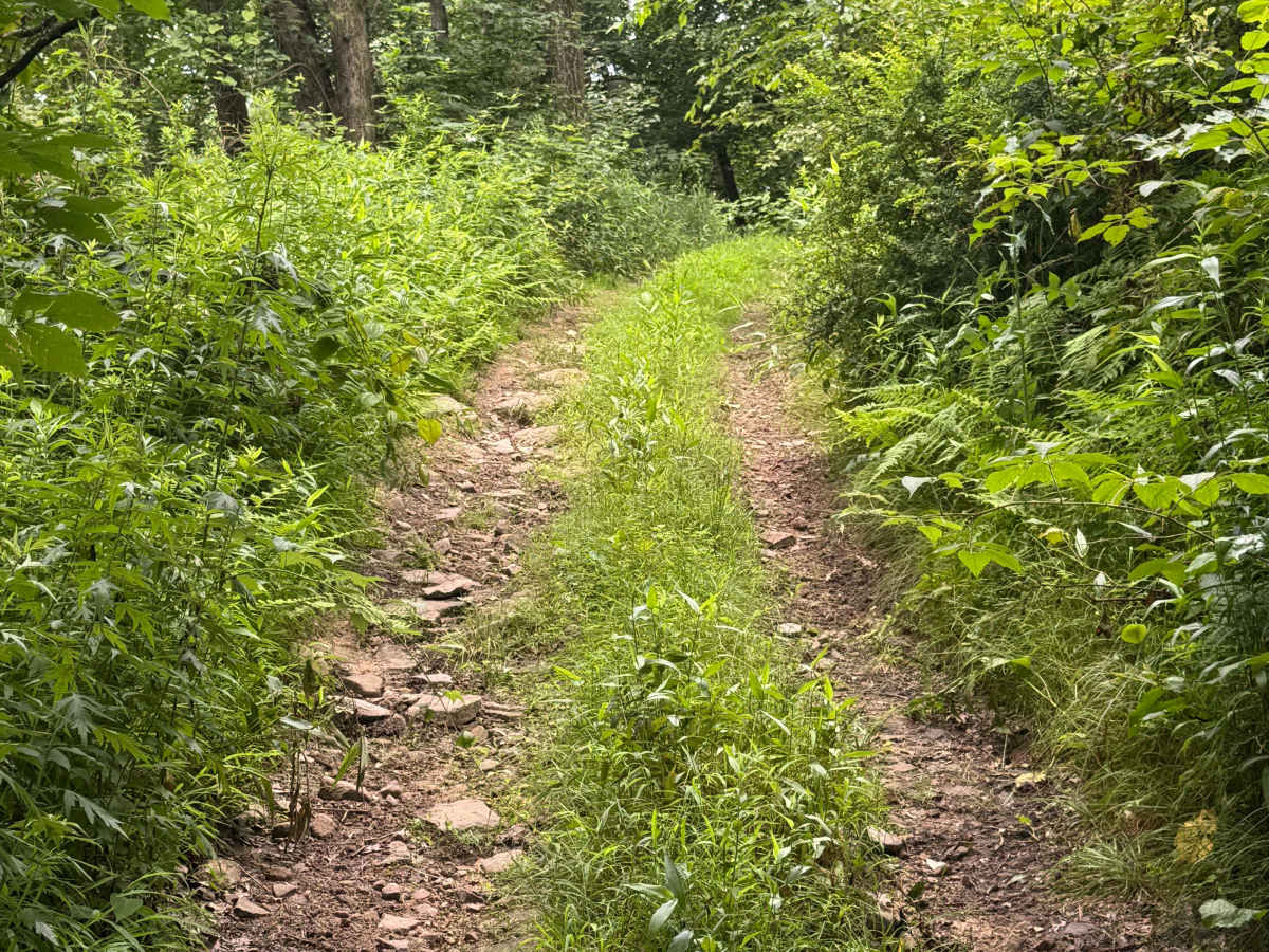Trail 74 photo 3
