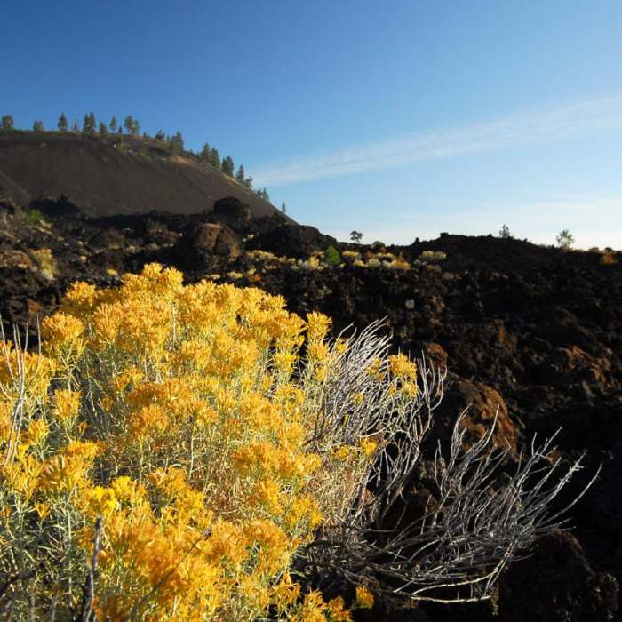 Near Lava Butte, Trail of the Molten Land