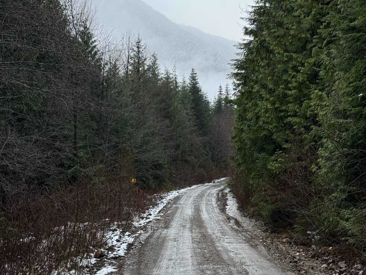 Williams Creek Trail photo 3