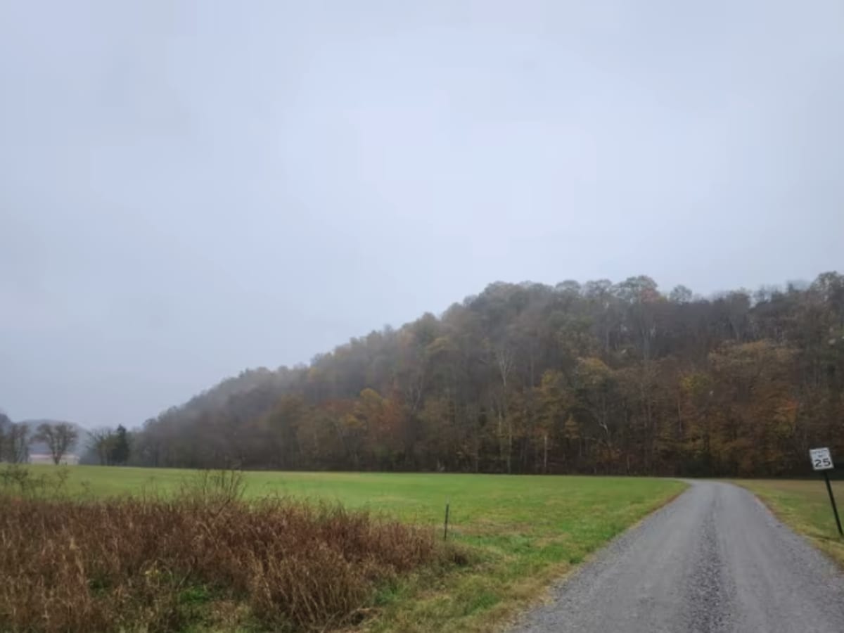Wilmore Hollow Road - Macon County Tour trail photo