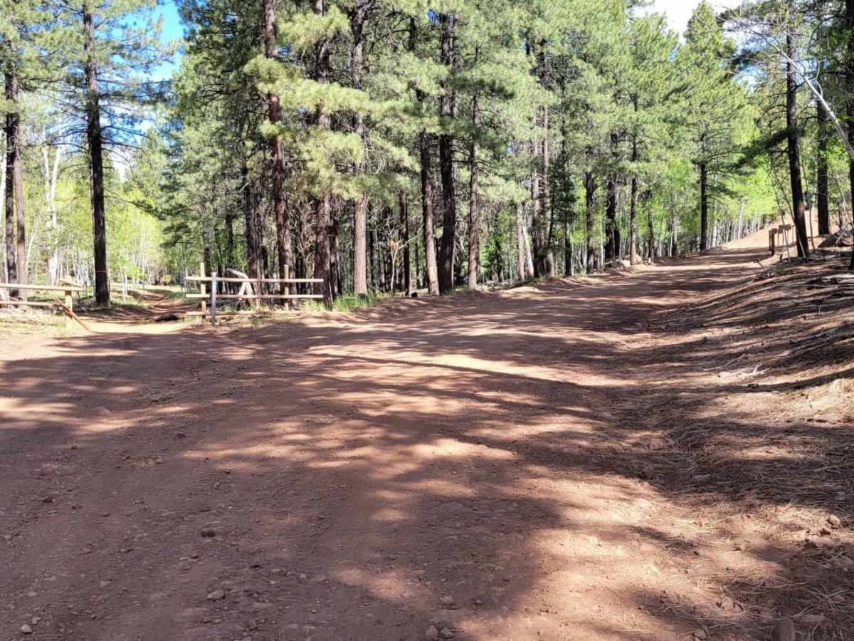 Ponderosa Loop Mini photo 2