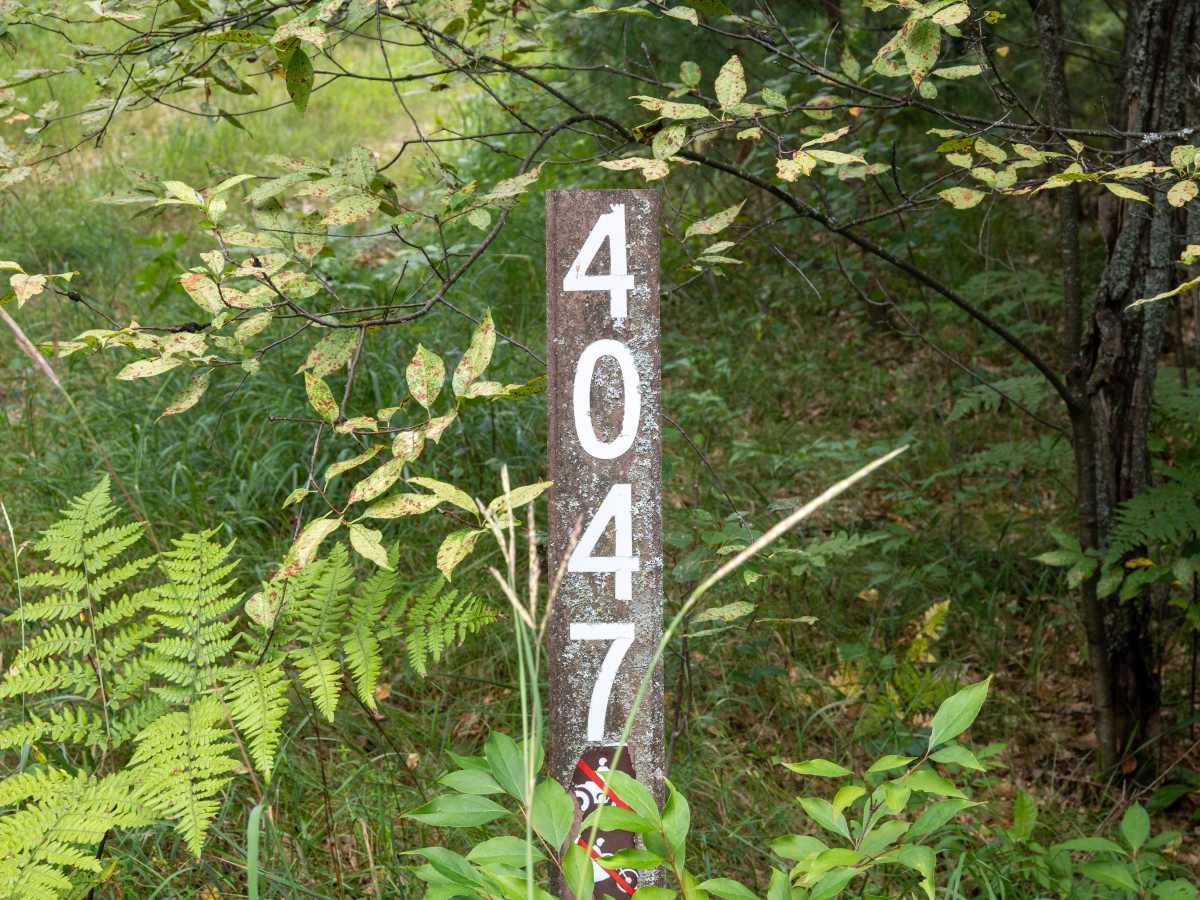 FS 4047 photo 2