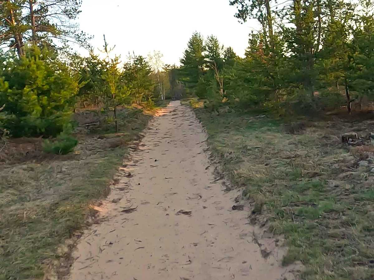 W Byrd Road trail photo
