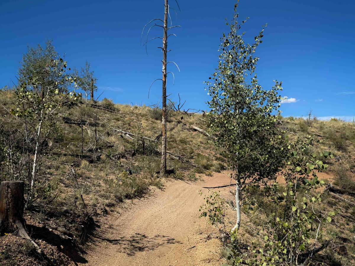 Signal Butte Trail 717 (Northwest Segment) photo 6