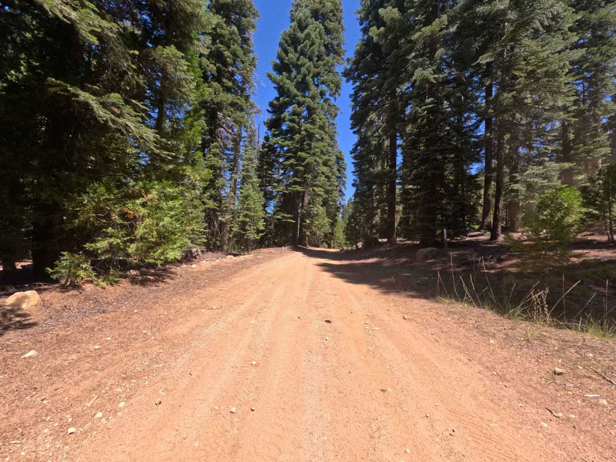 Penstock Road - FS 8N12 photo 3