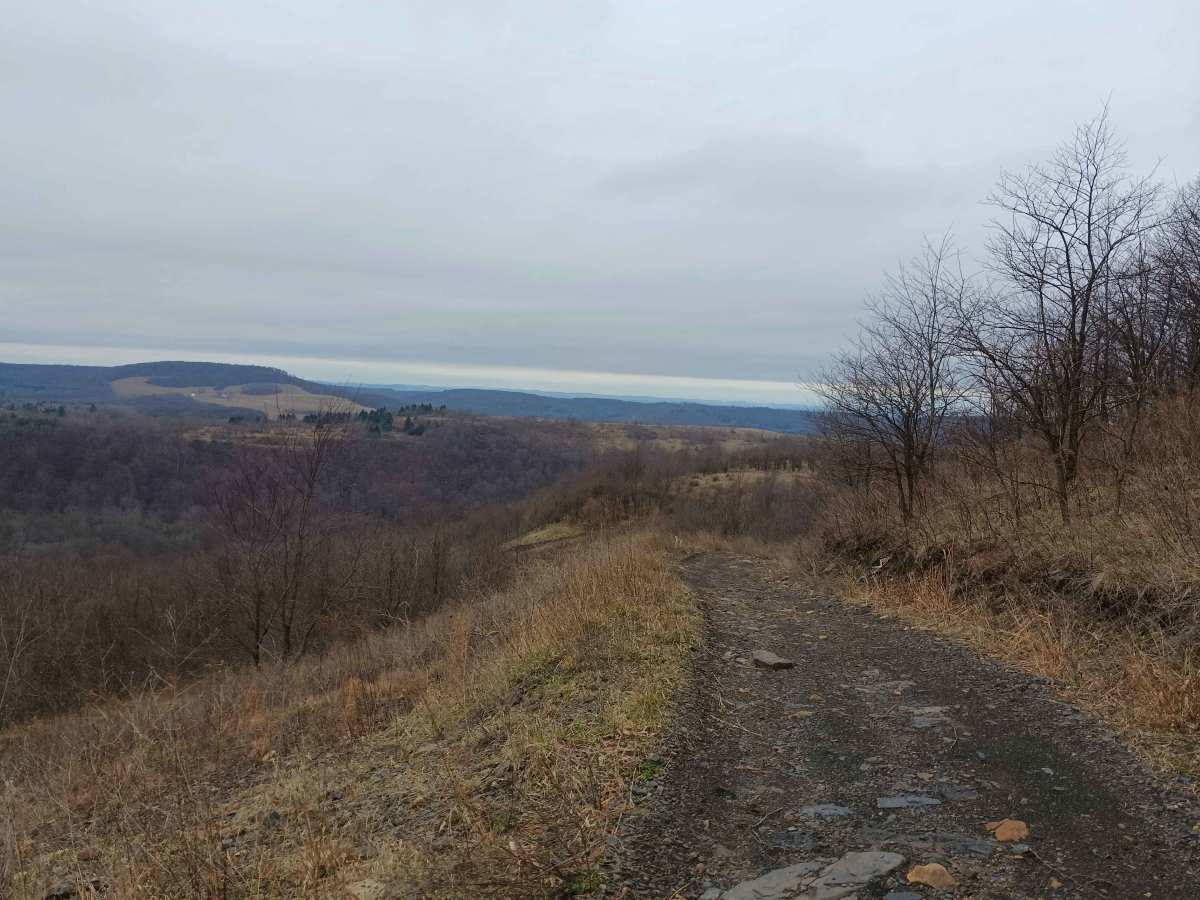 Trail 5 - Rock Run Recreation Area photo 6