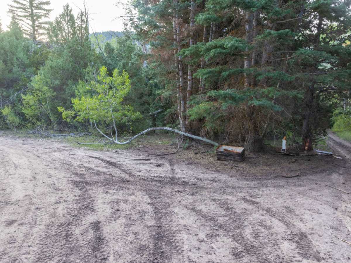 Clear Creek trail photo