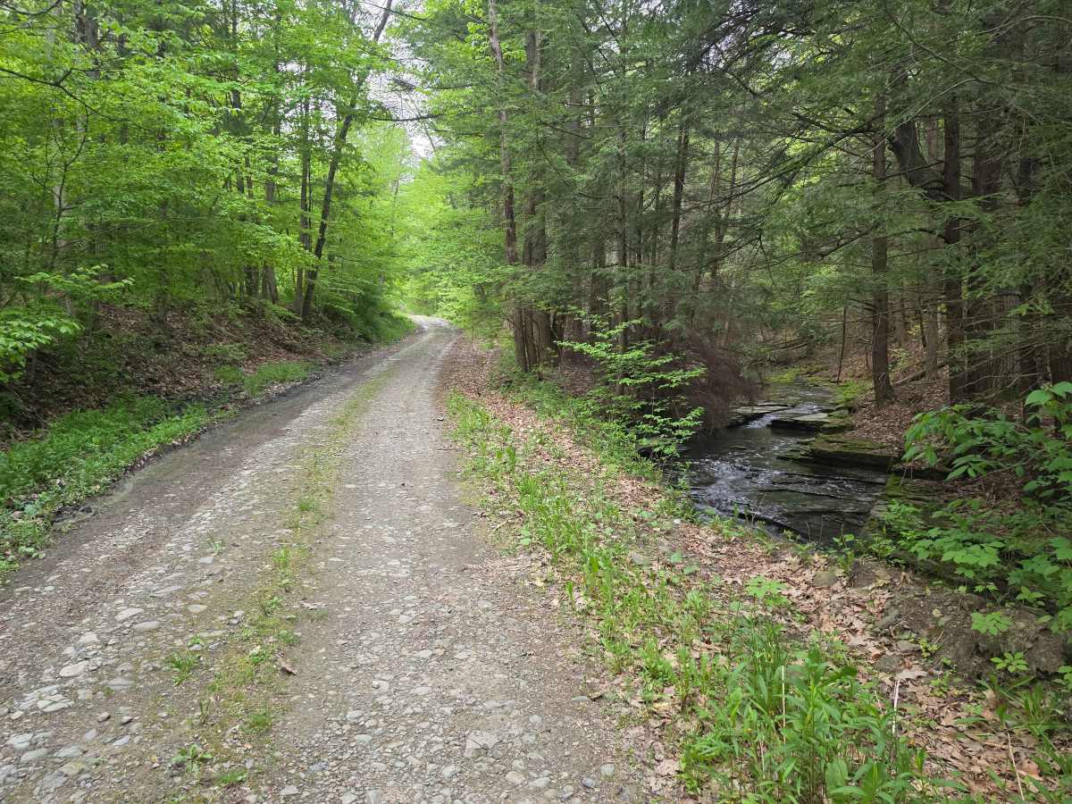 Steve Russell Hill Road photo 2