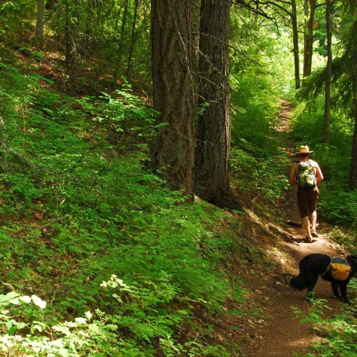 Near Bald Butte Hike