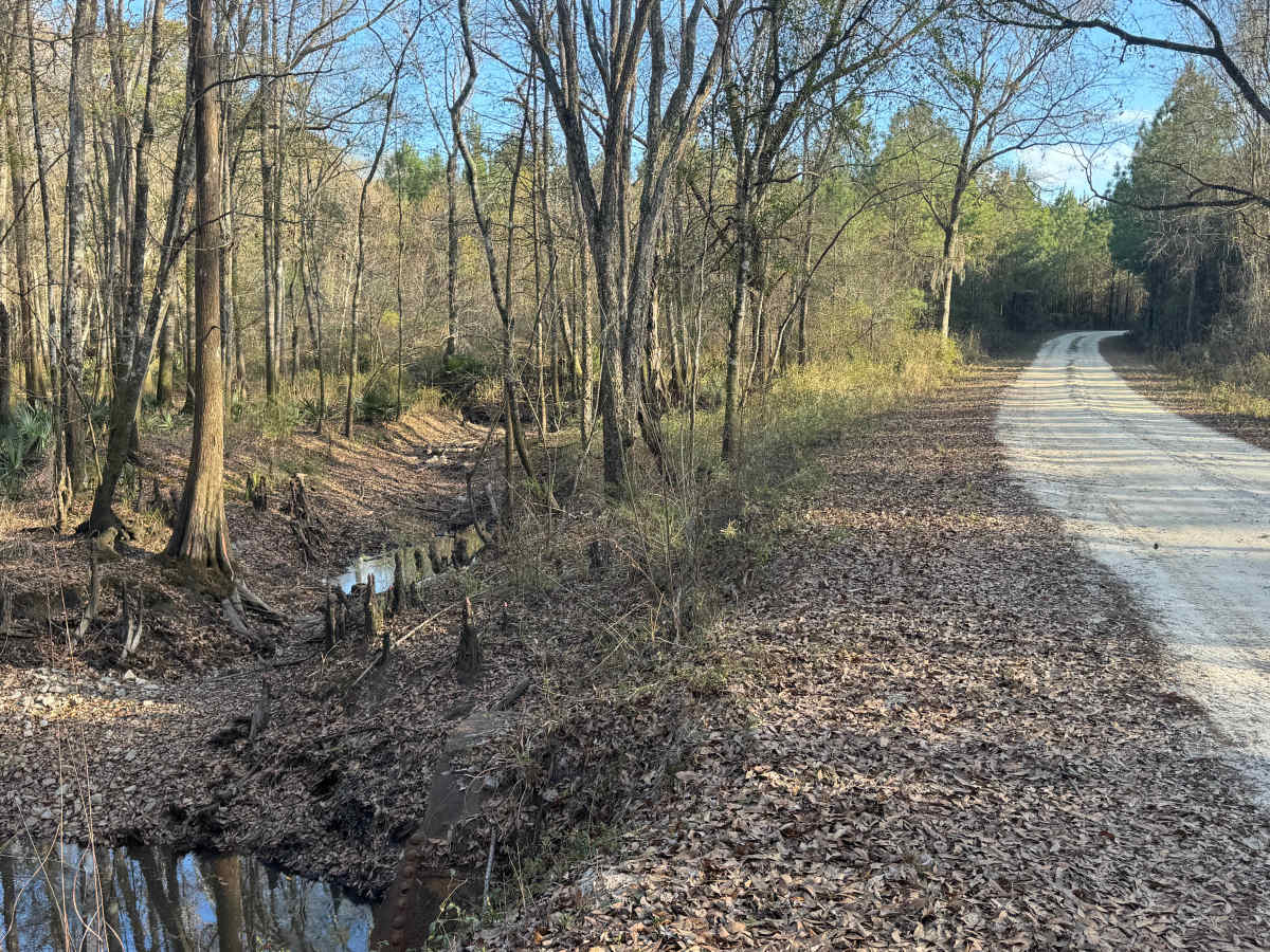 Canal Branch Road photo 6