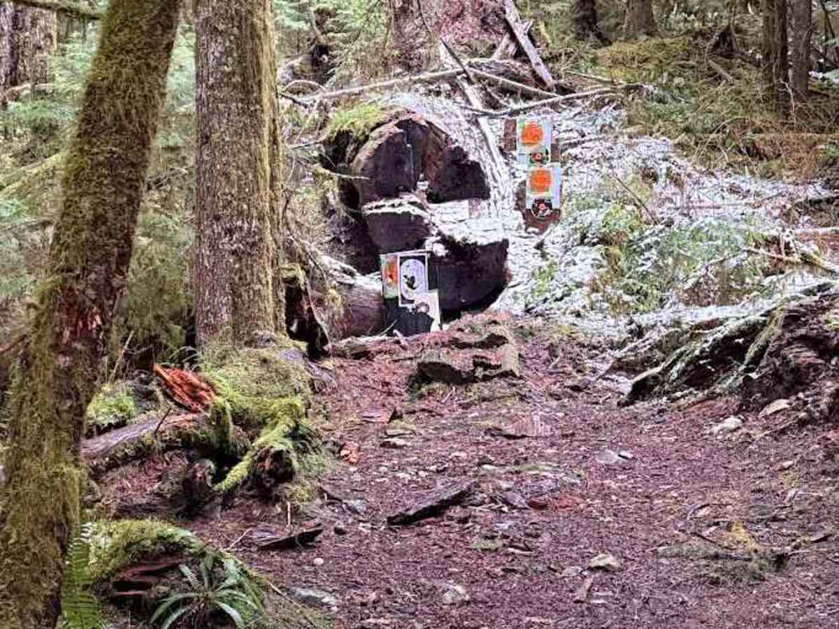 North Fork Road - FS 573 photo 5
