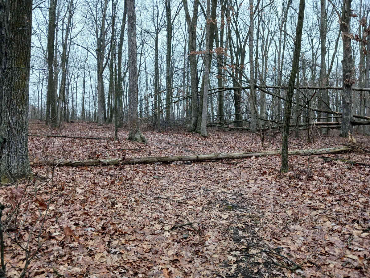 OHV 45 - Rock Run Recreation Area photo 5