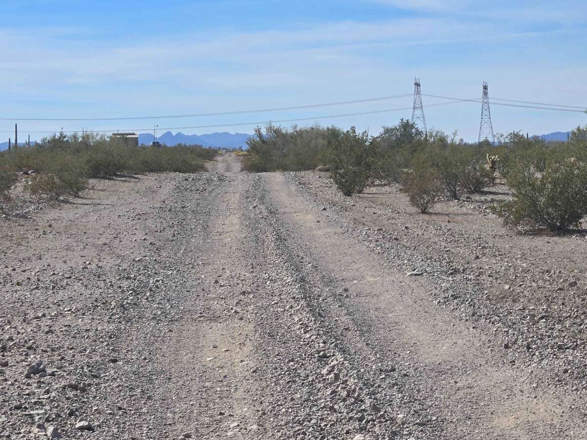 Wild Trail photo 5