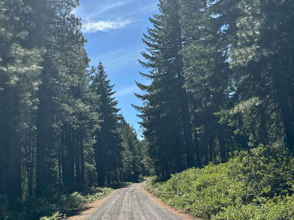 Suttle Lake South - FS 2066 photo 3