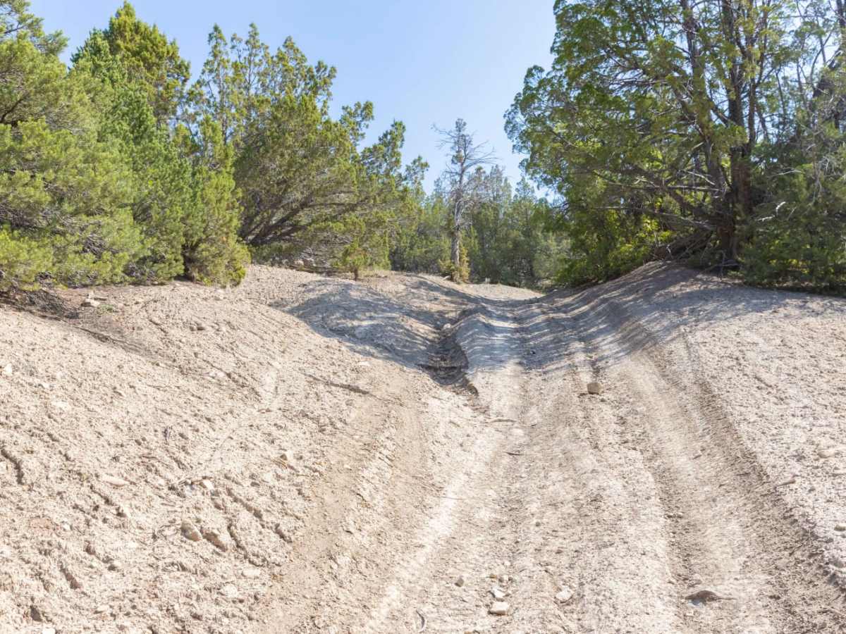 Birch Creek Trail photo 2