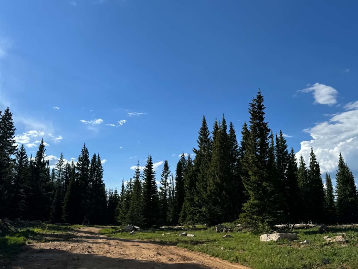 Transfer Trail Connect photo 4