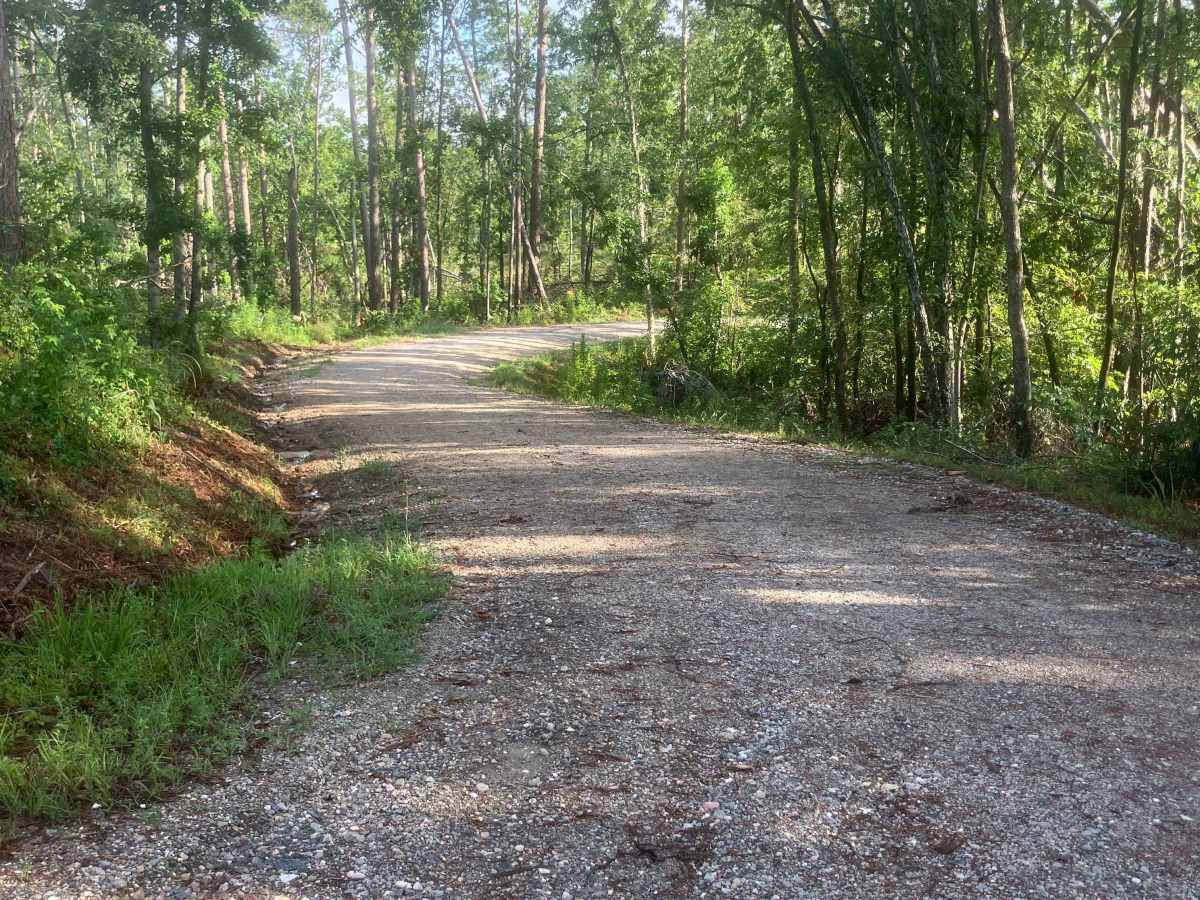 Woodlawn D trail photo