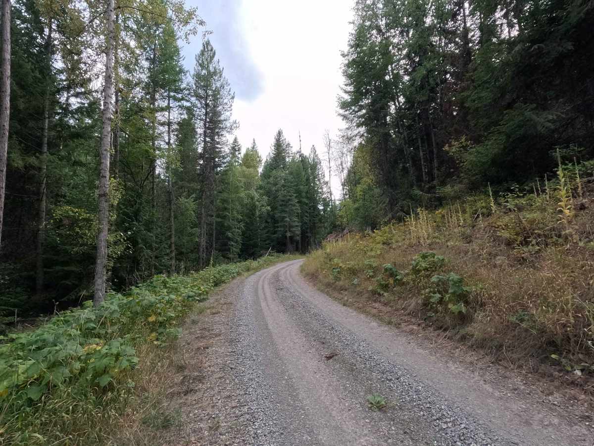 FS 1921035 photo 3