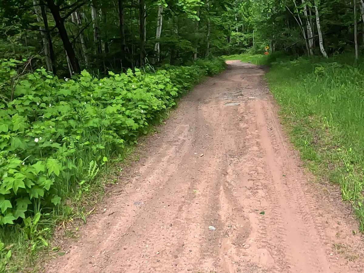 ORV LB Route - UP 14 photo 3