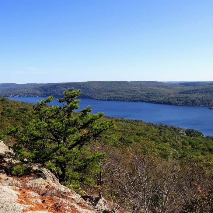 Near Bearfort Ridge Loop