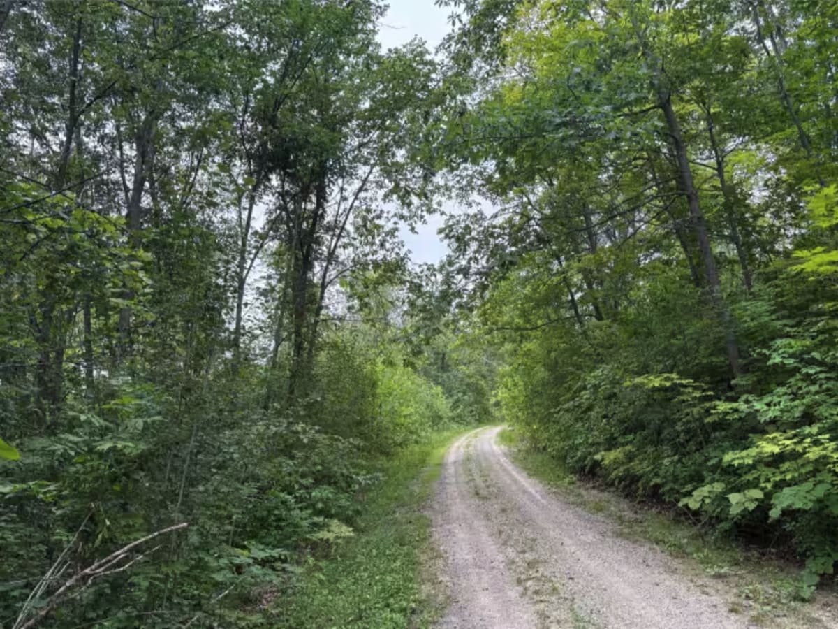 Waptus-Mckenzie Lake Road photo 5