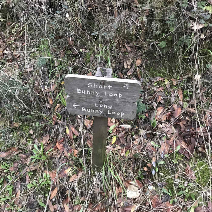 Near Hostel/Grapevine/Creek Trail Loop