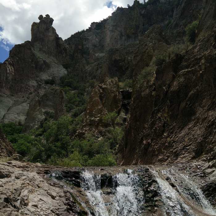 Near Mineral Creek Trail to Cooney Mine Camp