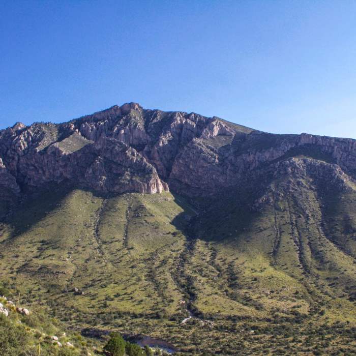 Near Guadalupe Peak Trail Near Guadalupe Peak Trail