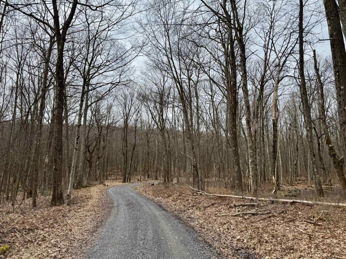 Rock Run Road photo 3